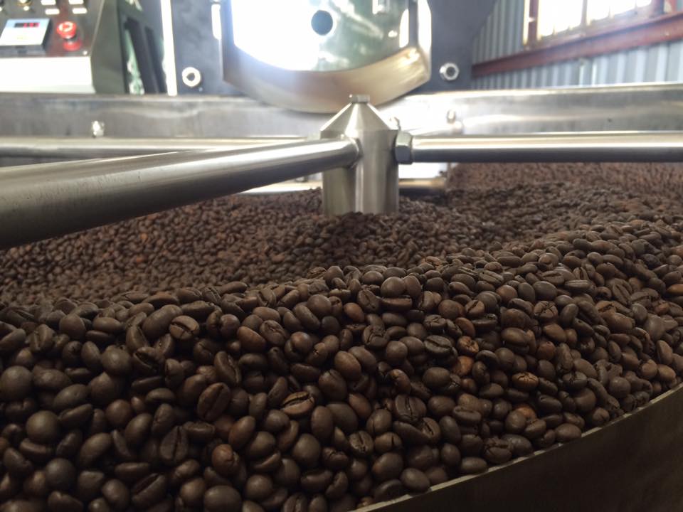 Địa chỉ cung cấp hạt cà phê nhân xanh chật lượng tại TP HCM