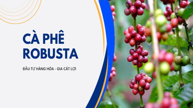 Giá Cà Phê Biểu đồ