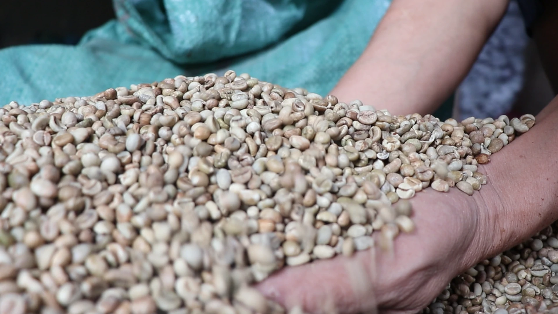 Gầy dựng thương hiệu cà phê rang củi nức tiếng Đắk Lắk từ số vốn 0 đồng