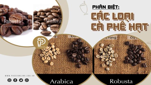 đào Tạo Rang Cà Phê