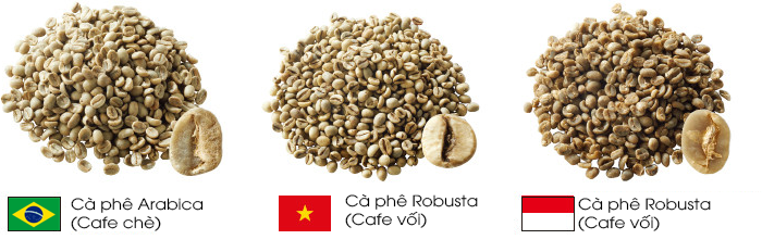 Dậy Nghề Rang Cà Phê