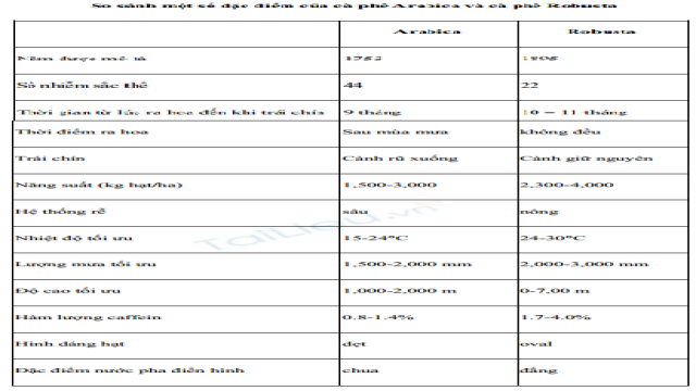 Hình Ảnh Cây Cà Phê Arabica