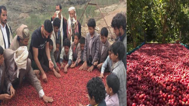 Hình ảnh Về Cà Phê Moka Rang