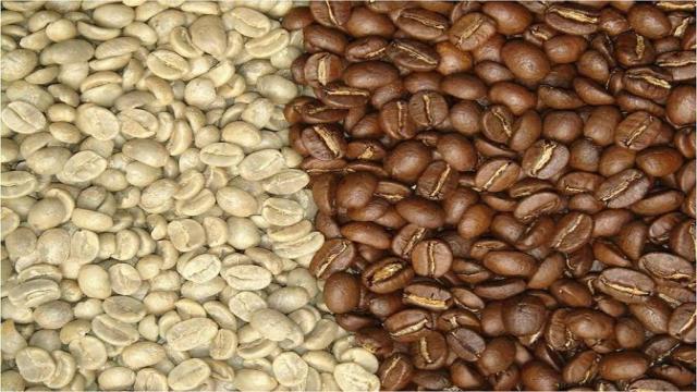 cà phê nhân sống - cà phê hạt chất lượng - Rang Gia Cong Cafe