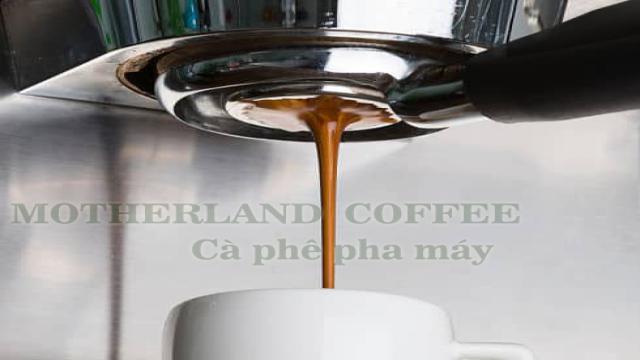 Rang Cà Phê Thế Nào để Pha Máy