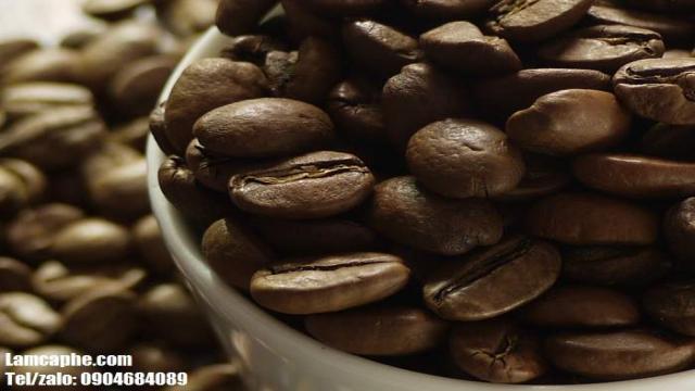 Rang Xay Cà Phê Bình Thuận