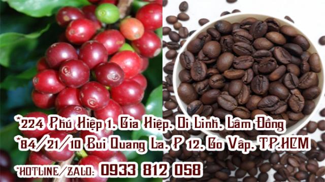 Rang Xay Cà Phê Tiền Giang