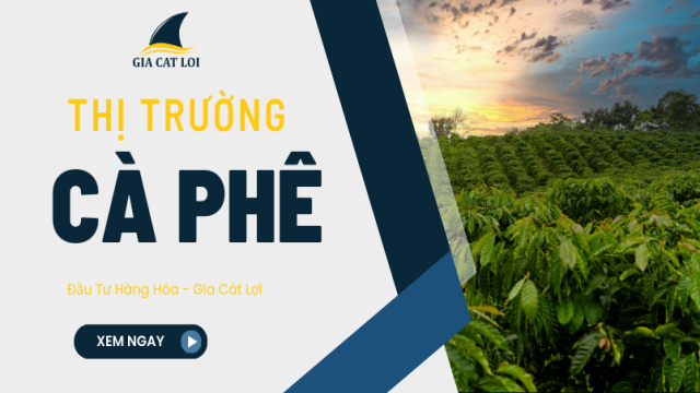 Tình Hình Sản Xuất Cà Phê Trên Thế Giới