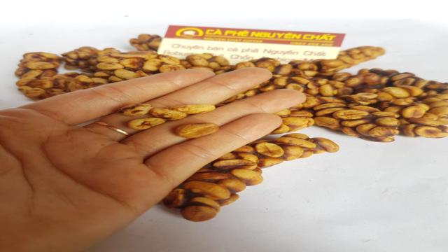 Cà Phê Hạt Rang Nguyên Chất Buôn Ma Thuột