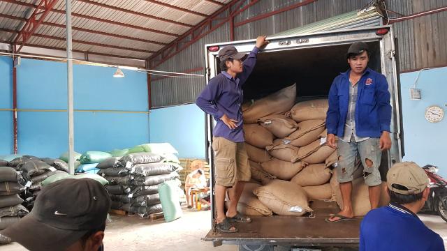 Giá Cà Phê Hạt Rang Sỉ