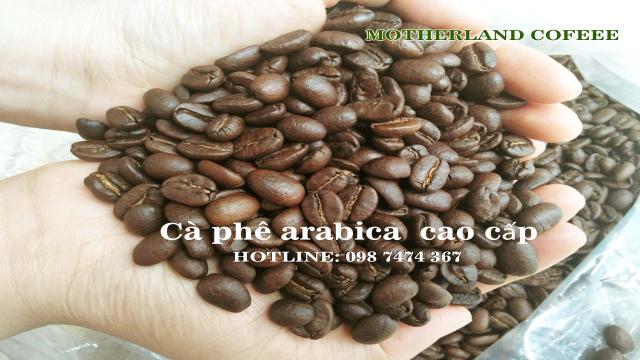 Cà Phê Arabica đà Lạt Nguyên Chất & Rang Mộc