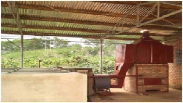 Các Loại Máy Sấy Cà Phê
