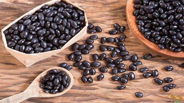 Đậu đen là gì?