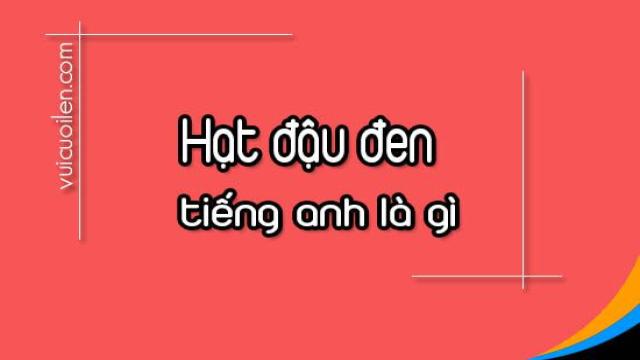 Đậu Đen Tiếng Anh