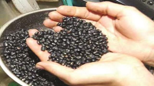 Nuốt 49 hạt đậu đen lợi hay hại?