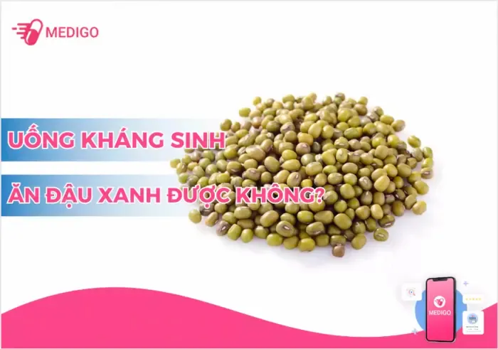 uống kháng sinh ăn đậu xanh được không