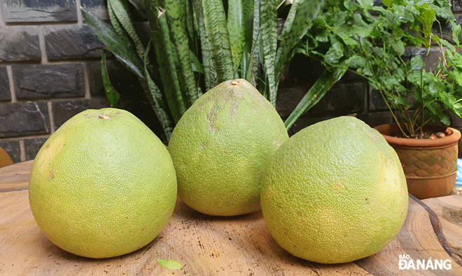 Bưởi chứa rất nhiều chất dinh dưỡng cần thiết cho cơ thể, nhưng không nên ăn, uống nước ép bưởi khi đang dùng thuốc chữa bệnh. Ảnh: V.T.L