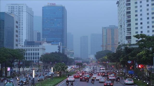 dau xanh gio bui tap 8