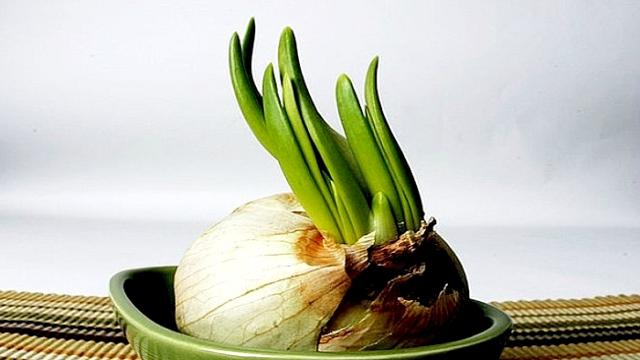 thuc pham moc mam va nhung dieu can luu y