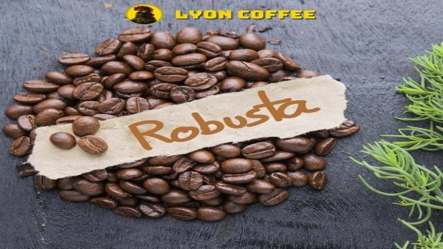 Giá Cà Phê Bột Robusta
