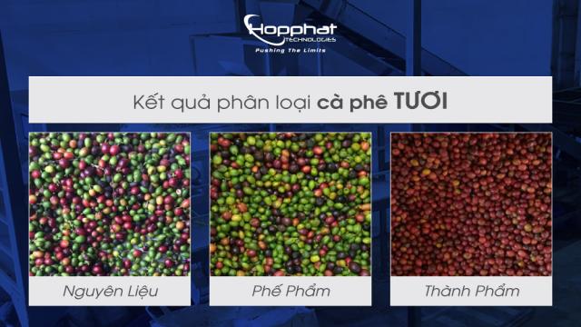 Máy Chế Biến Cà Phê Tươi