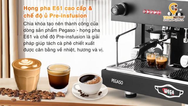 Máy Pha Cà Phê Chuyên Dụng Wega Pegaso 2 Group