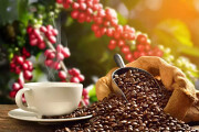 Dwcoffeeeport Exports 1647390360707295167364 81 0 881 1200 Crop 16473903756052021528781